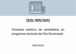 Processo seletivo de candidatos ao Programa Nacional de Pós-Doutorado Processo seletivo de candidatos ao Programa Nacional de Pós-Doutorado